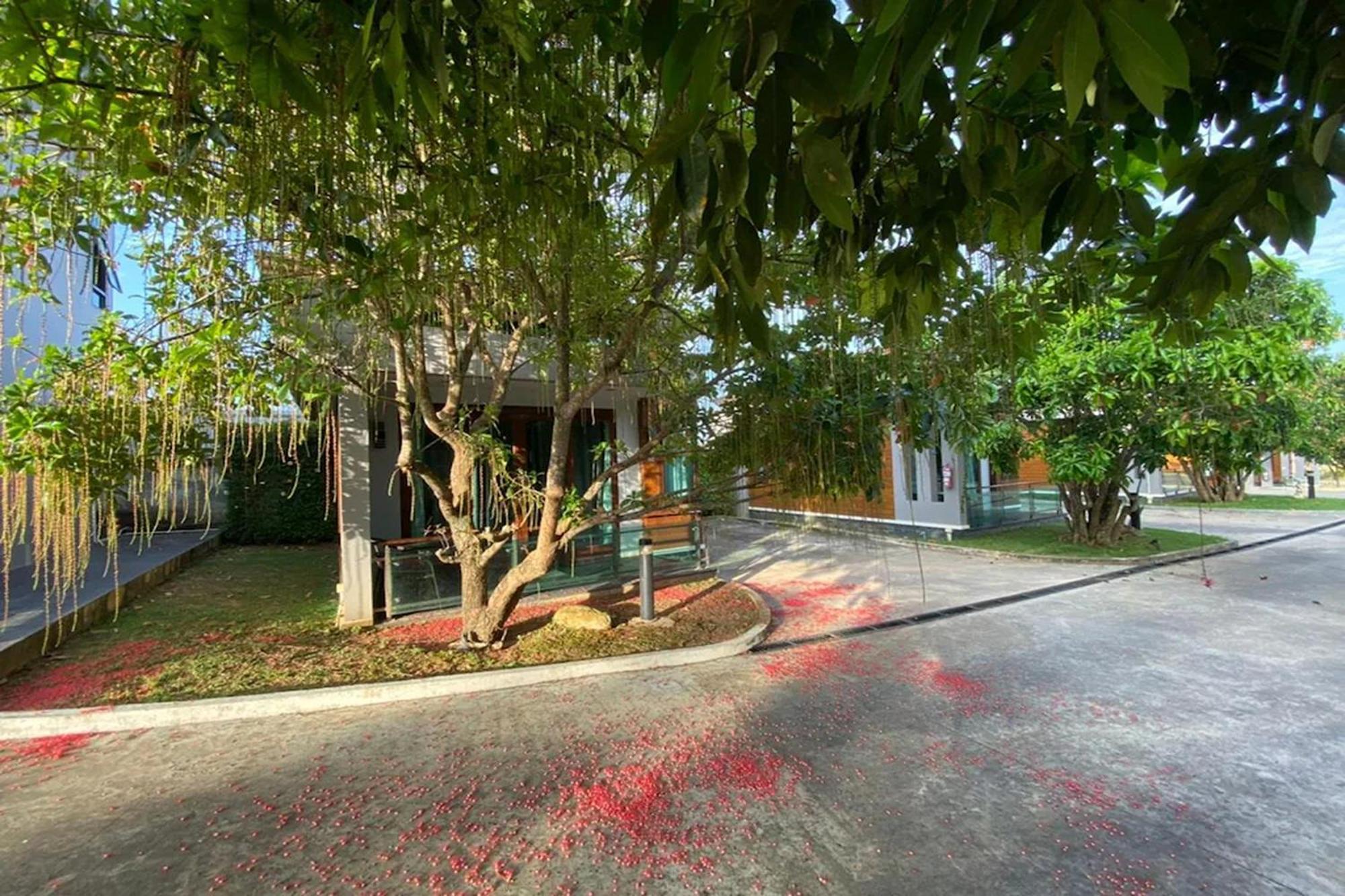 Nutchana Hill Boutique Hotel Hat Yai Exteriör bild