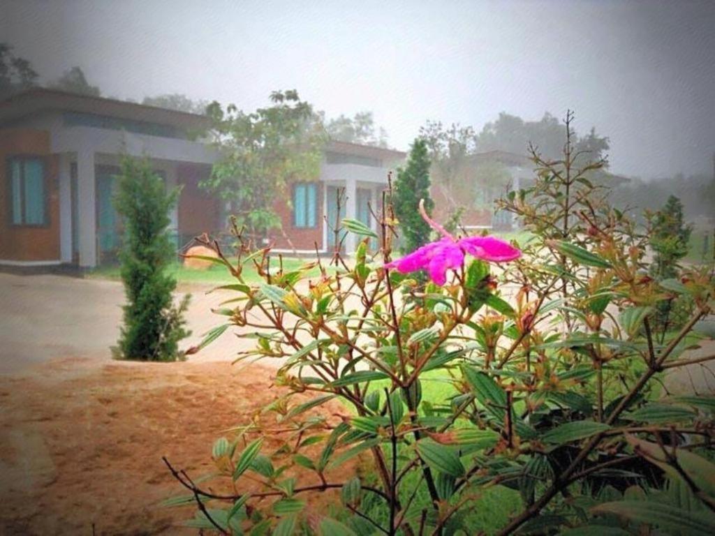 Nutchana Hill Boutique Hotel Hat Yai Exteriör bild